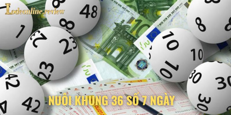 Các bước cơ bản giúp nuôi khung 36 số 7 ngày cực hiệu quả