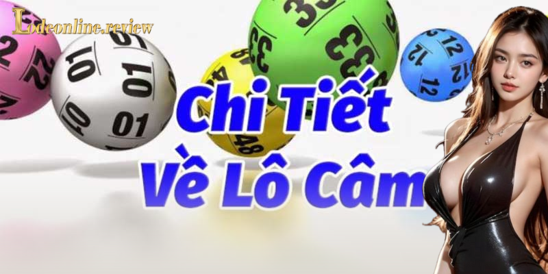 Giới thiệu về lô câm