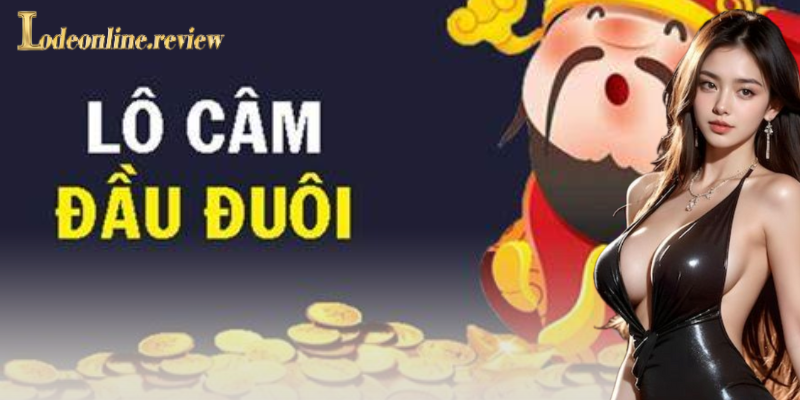 Phân loại lô câm