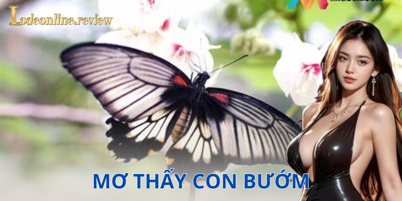 Giấc mơ thấy con bướm có ý nghĩa gì?