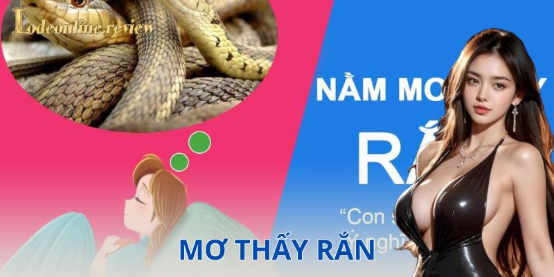 Các loại giấc mơ và ý nghĩa của chúng
