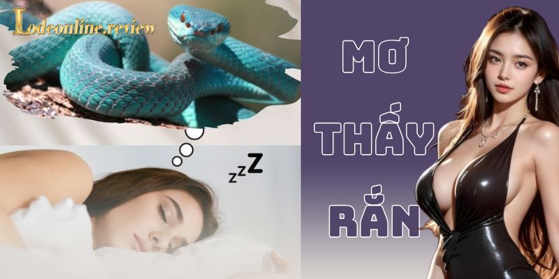 Ví dụ thực tế về việc sử dụng giấc mơ trong lô đề