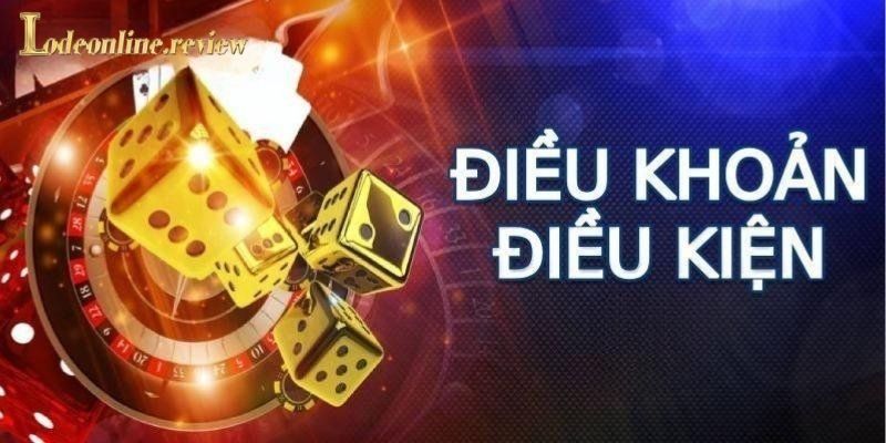 Top 5 điều khoản tại nền tảng mà hội viên cần biết