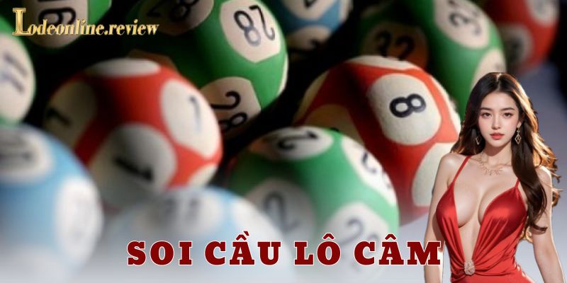 Cách soi cầu lô câm hiệu quả và chi tiết