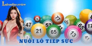 Nuôi lô tiếp sức - Lô đề online