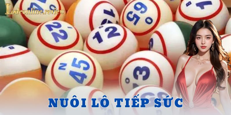 Nuôi lô tiếp sức là gì? Cơ chế hoạt động ra sao?
