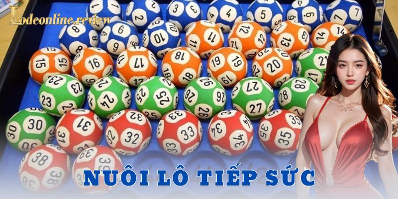 Ví dụ thực tế về nuôi lô tiếp sức trong 5 ngày